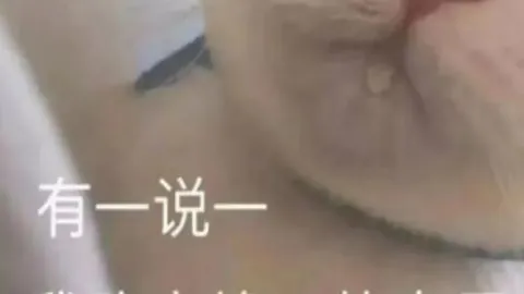 官方通告：费南多因伤缺席，武磊与阿兰重返球队训练