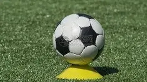 狼队施压技巧获萨拉维亚点赞，控球表现仍需加强。